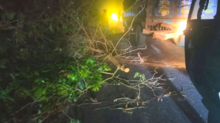 বগুড়ায় সড়কে গাছ ফেলে ডাকাতি