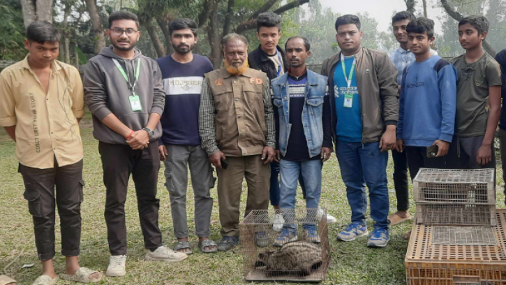 বগুড়ায় গন্ধগোকুল উদ্ধার