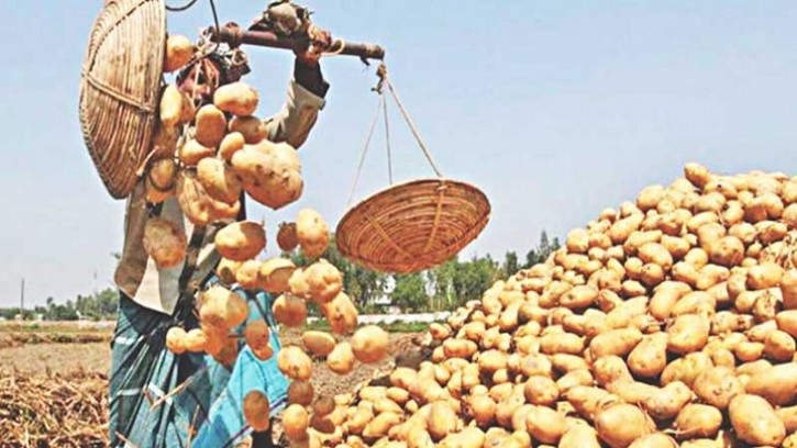 আরও ৯ শুল্ক স্টেশন দিয়ে তিন দেশের আলু আমদানির অনুমতি
